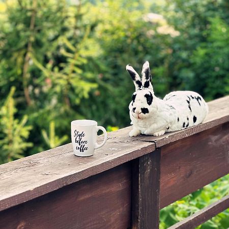 Doi Iepuri Daire Azuga Dış mekan fotoğraf