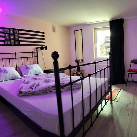 Doi Iepuri Daire Azuga Dış mekan fotoğraf