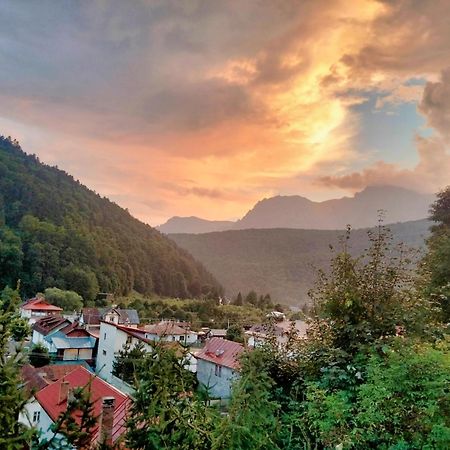 Doi Iepuri Daire Azuga Dış mekan fotoğraf